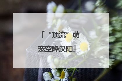 “顶流”萌宠空降汉阳