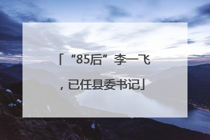 “85后”李一飞，已任县委书记
