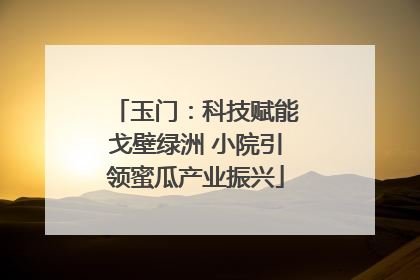 玉门：科技赋能戈壁绿洲 小院引领蜜瓜产业振兴