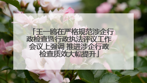 王一鸥在严格规范涉企行政检查暨行政执法评议工作会议上强调 推进涉企行政检查质效大幅提升