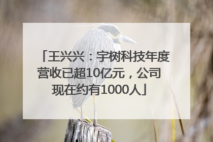 王兴兴：宇树科技年度营收已超10亿元，公司现在约有1000人
