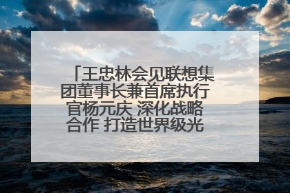 王忠林会见联想集团董事长兼首席执行官杨元庆 深化战略合作 打造世界级光电子信息产业集群
