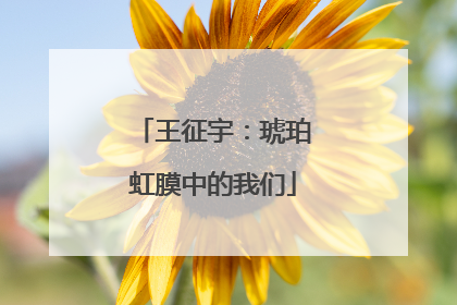 王征宇：琥珀虹膜中的我们