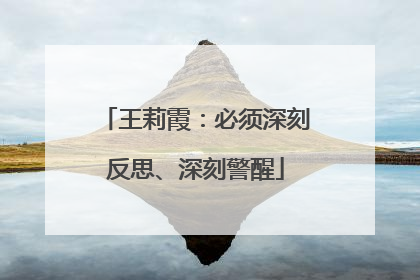 王莉霞：必须深刻反思、深刻警醒