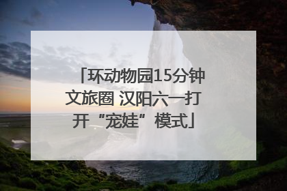 环动物园15分钟文旅圈 汉阳六一打开“宠娃”模式