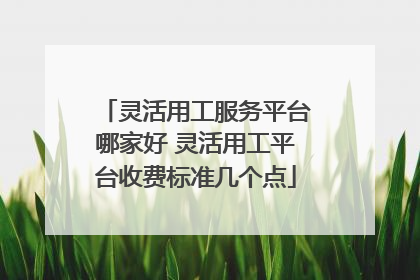 灵活用工服务平台哪家好 灵活用工平台收费标准几个点