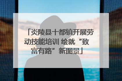 炎陵县十都镇开展劳动技能培训 绘就“致富有路”新图景