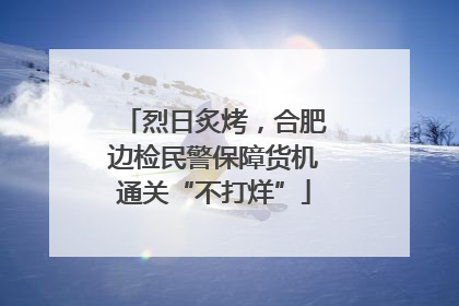 烈日炙烤，合肥边检民警保障货机通关“不打烊”