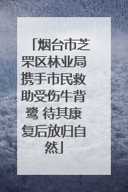 烟台市芝罘区林业局携手市民救助受伤牛背鹭 待其康复后放归自然