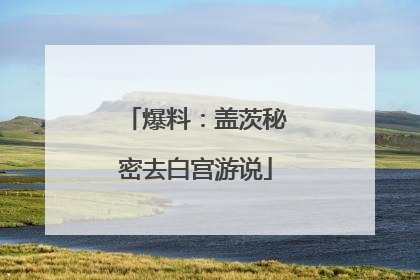 爆料：盖茨秘密去白宫游说