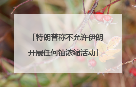 特朗普称不允许伊朗开展任何铀浓缩活动