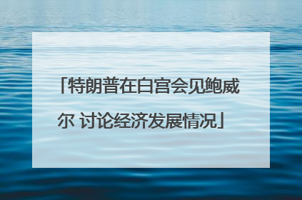 特朗普在白宫会见鲍威尔 讨论经济发展情况