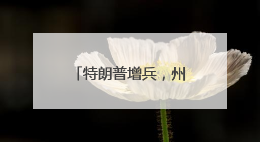 特朗普增兵，州政府调人……洛杉矶局势持续紧张