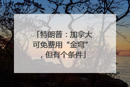 特朗普：加拿大可免费用“金穹”，但有个条件