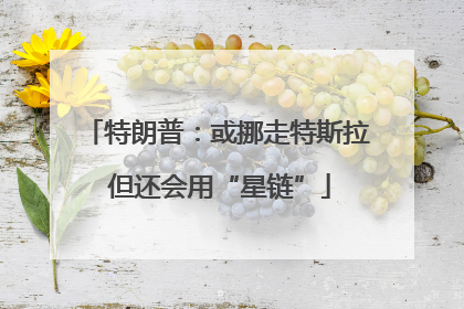 特朗普：或挪走特斯拉 但还会用“星链”