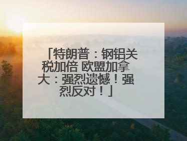 特朗普：钢铝关税加倍 欧盟加拿大：强烈遗憾！强烈反对！