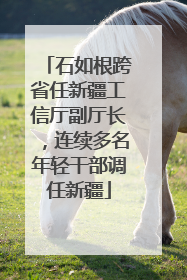 石如根跨省任新疆工信厅副厅长，连续多名年轻干部调任新疆