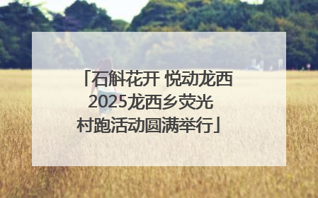 石斛花开 悦动龙西 2025龙西乡荧光村跑活动圆满举行