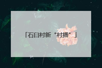 石臼村新“村播”