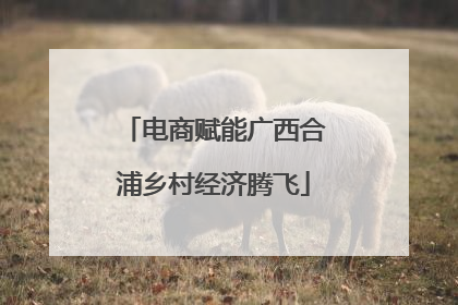 电商赋能广西合浦乡村经济腾飞