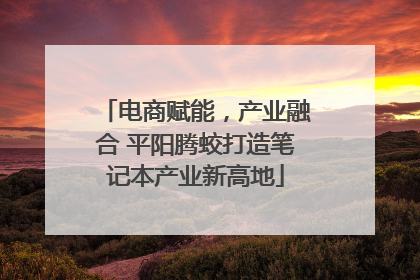 电商赋能，产业融合 平阳腾蛟打造笔记本产业新高地