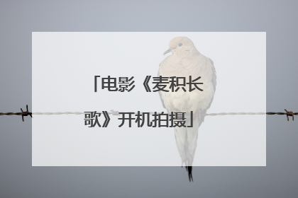 电影《麦积长歌》开机拍摄