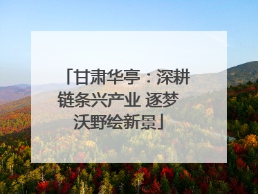 甘肃华亭：深耕链条兴产业 逐梦沃野绘新景