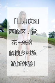 甘肃庆阳西峰区：赏花+采摘 解锁乡村旅游新体验