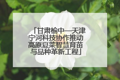 甘肃榆中—天津宁河科技协作推动高原夏菜智慧育苗与品种革新工程