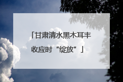 甘肃清水黑木耳丰收应时“绽放”