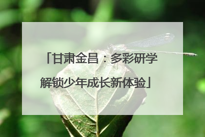 甘肃金昌：多彩研学解锁少年成长新体验
