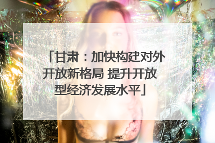 甘肃：加快构建对外开放新格局 提升开放型经济发展水平