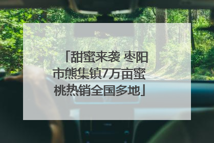 甜蜜来袭 枣阳市熊集镇7万亩蜜桃热销全国多地