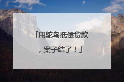 用鸵鸟抵偿货款，案子结了！