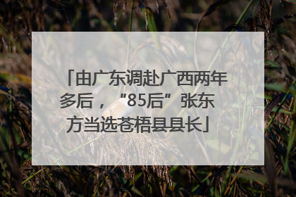由广东调赴广西两年多后，“85后”张东方当选苍梧县县长