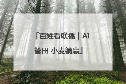 百姓看联播｜AI管田 小麦躺赢