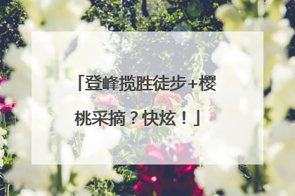 登峰揽胜徒步+樱桃采摘？快炫！