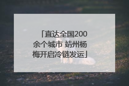 直达全国200余个城市 靖州杨梅开启冷链发运