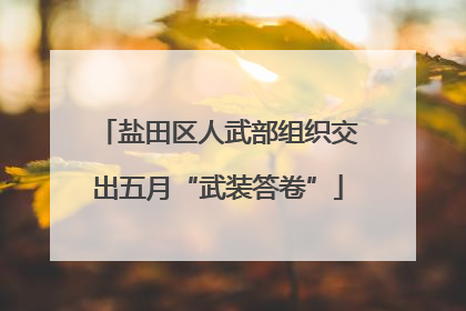 盐田区人武部组织交出五月“武装答卷”