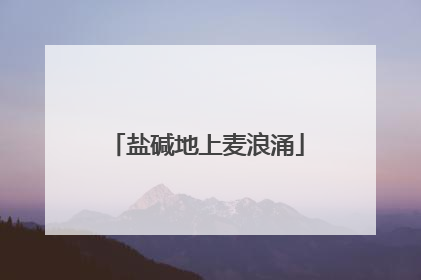 盐碱地上麦浪涌