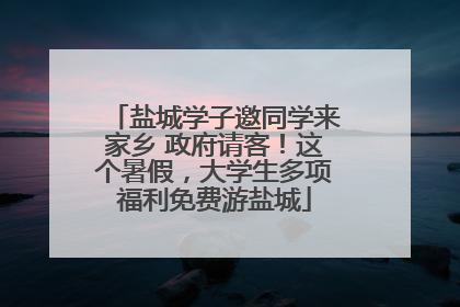 盐城学子邀同学来家乡 政府请客！这个暑假，大学生多项福利免费游盐城