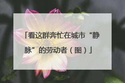 看这群奔忙在城市“静脉”的劳动者（图）