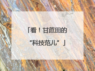 看！甘蔗田的“科技范儿”