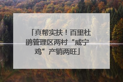 真帮实扶！百里杜鹃管理区两村“威宁鸡”产销两旺