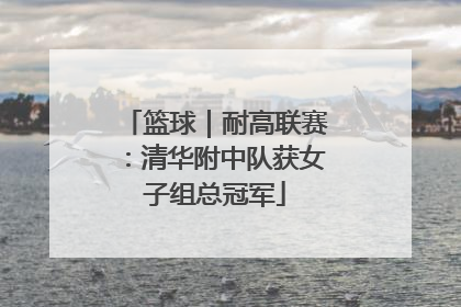 篮球｜耐高联赛：清华附中队获女子组总冠军