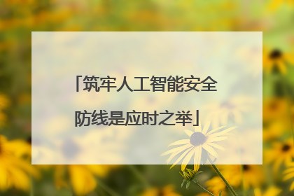 筑牢人工智能安全防线是应时之举