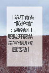 筑牢青春“防护墙”：湖南财工职院开展禁毒宣传进校园活动