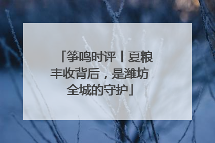 筝鸣时评丨夏粮丰收背后，是潍坊全城的守护