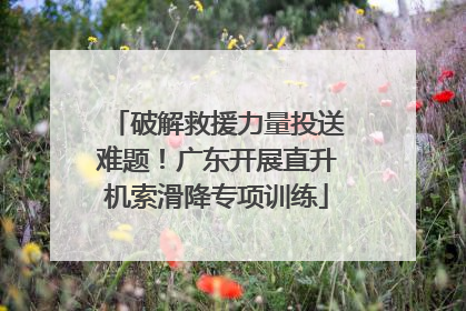 破解救援力量投送难题！广东开展直升机索滑降专项训练