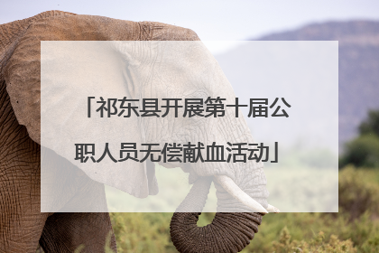 祁东县开展第十届公职人员无偿献血活动